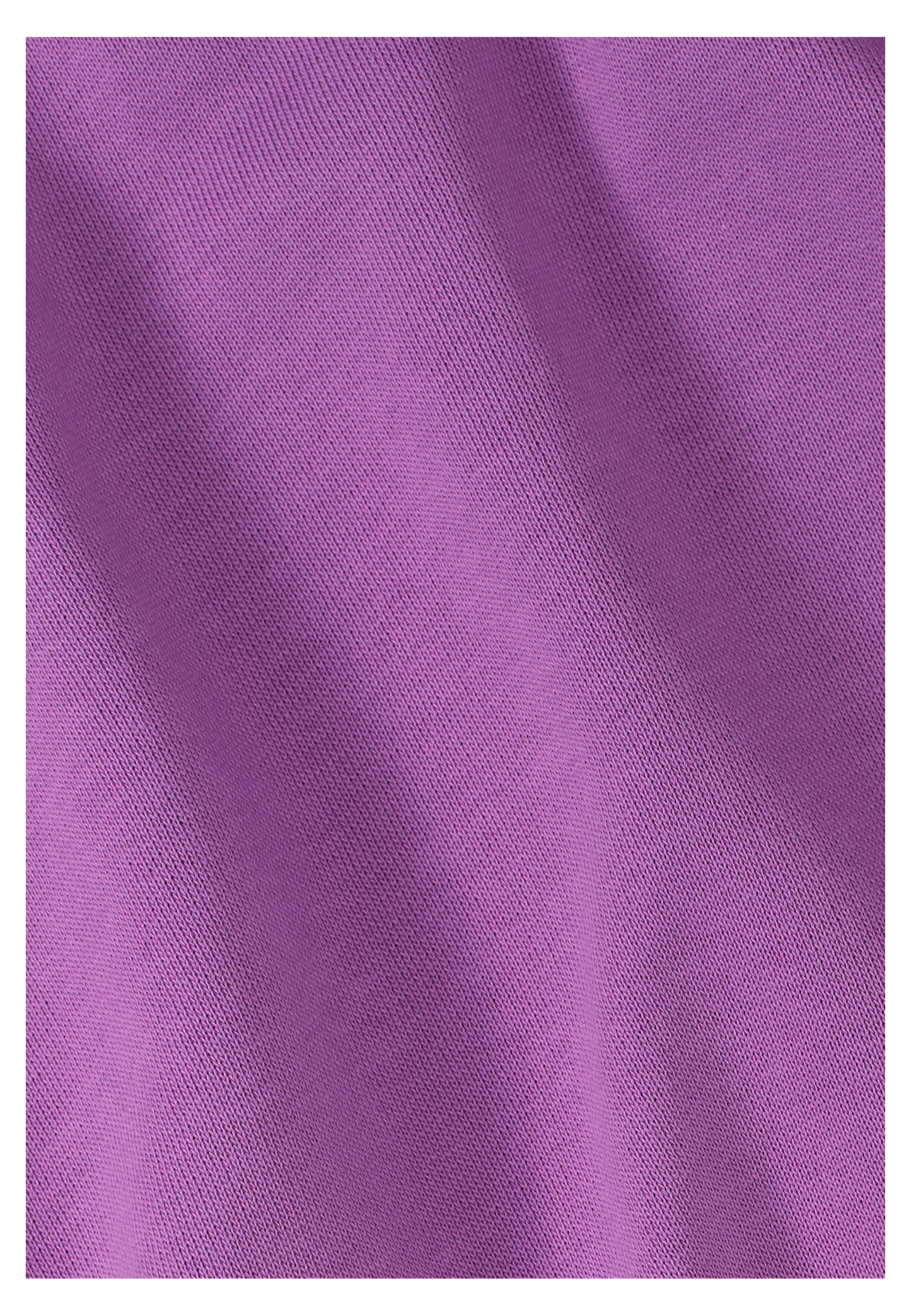 CELEBRATE THE PAW CREWNECK W