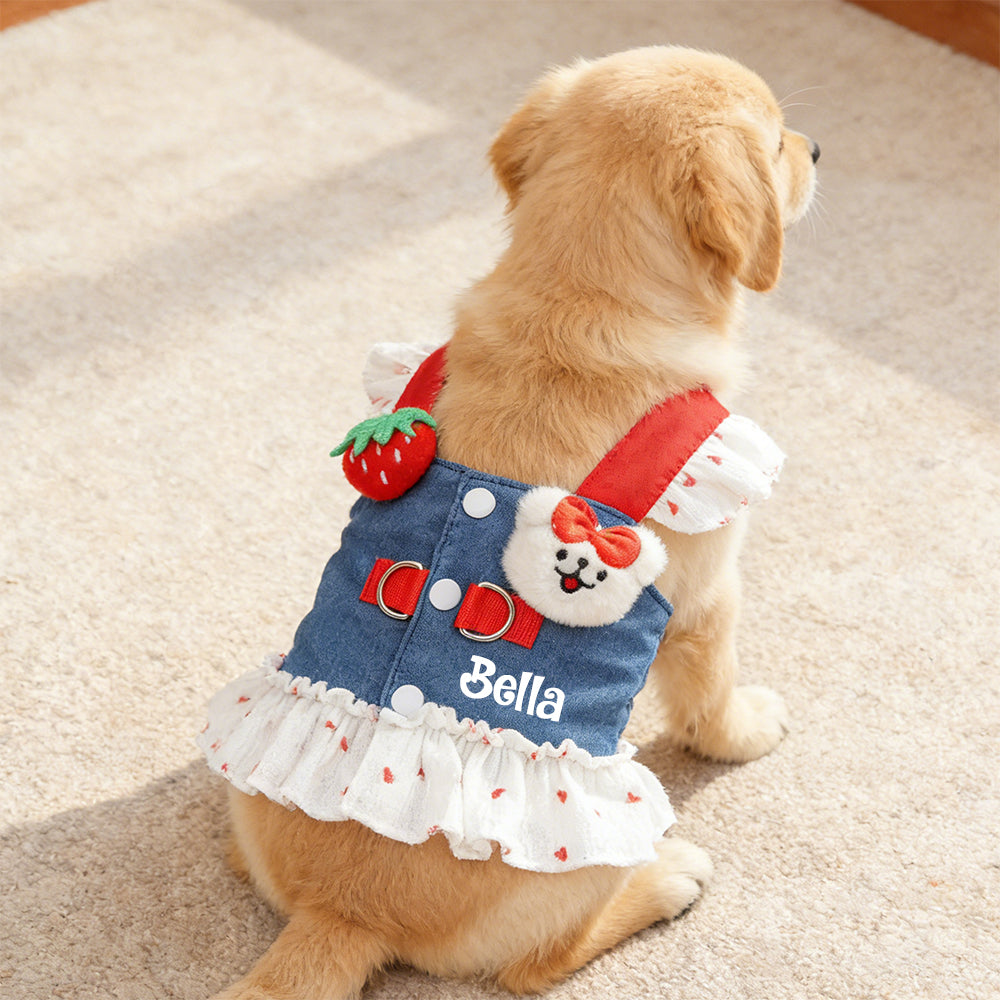Personalized Name Denim Dress with Leash | inCloth14