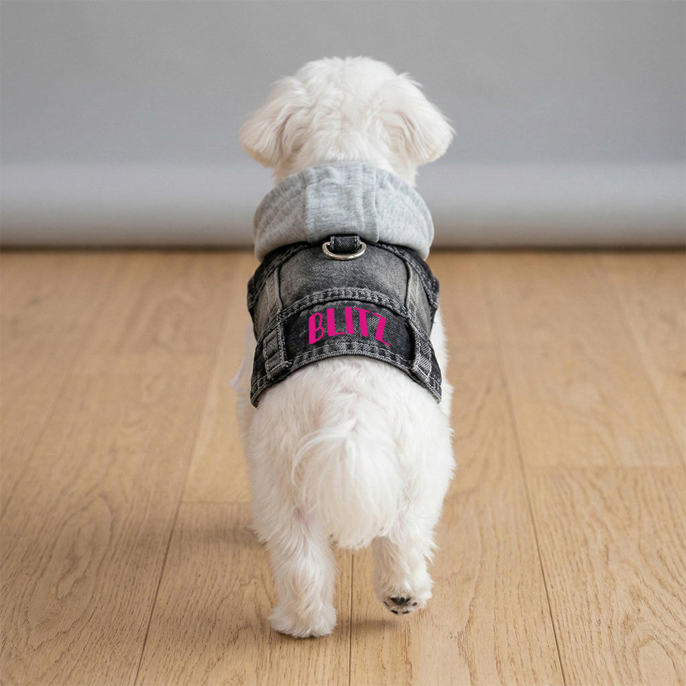 Personalized Name Denim Pet Hoodie Jacket | inCloth60
