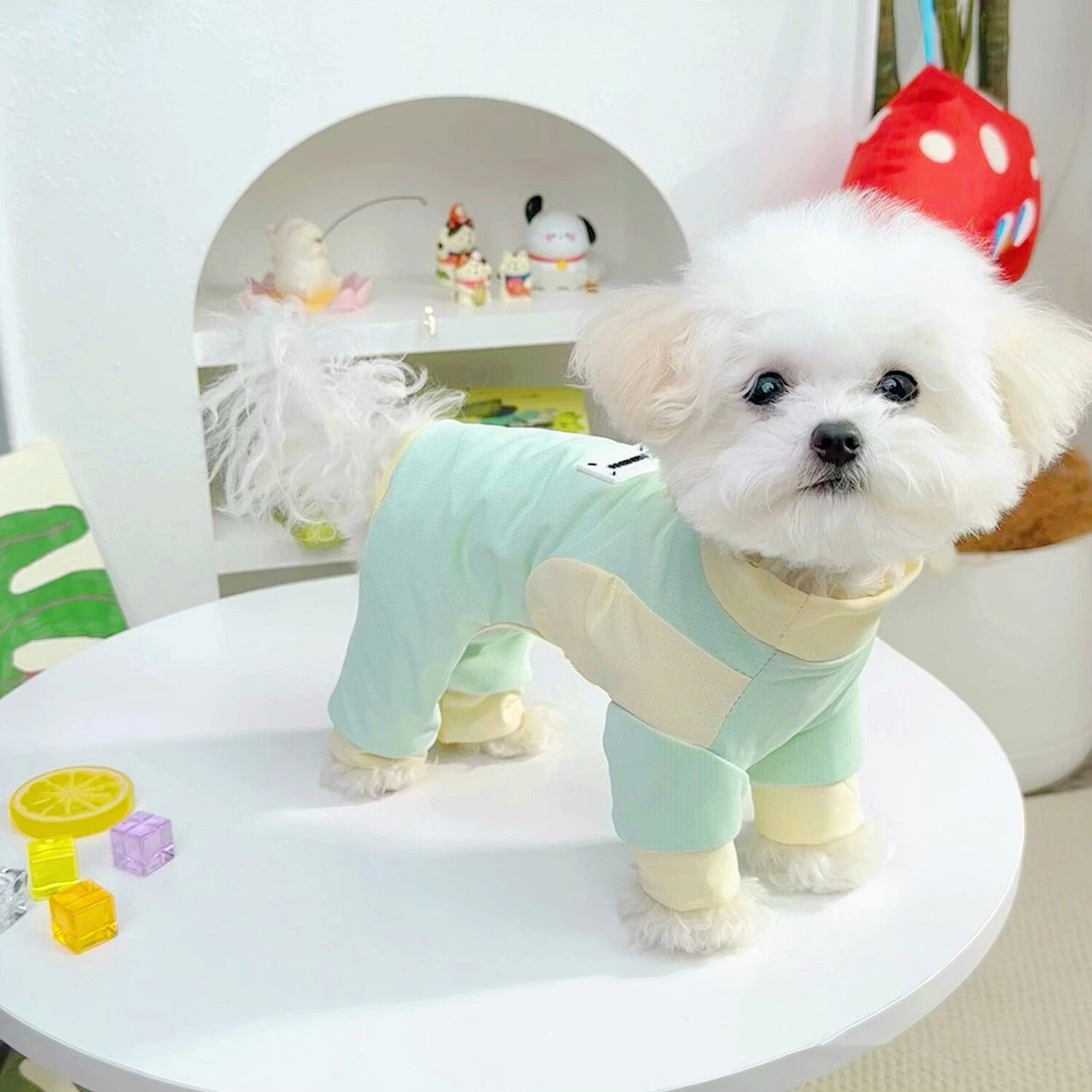 Personalized Leather Patch Name Breathable Summer Pet Jumpsuit  | inCloth64