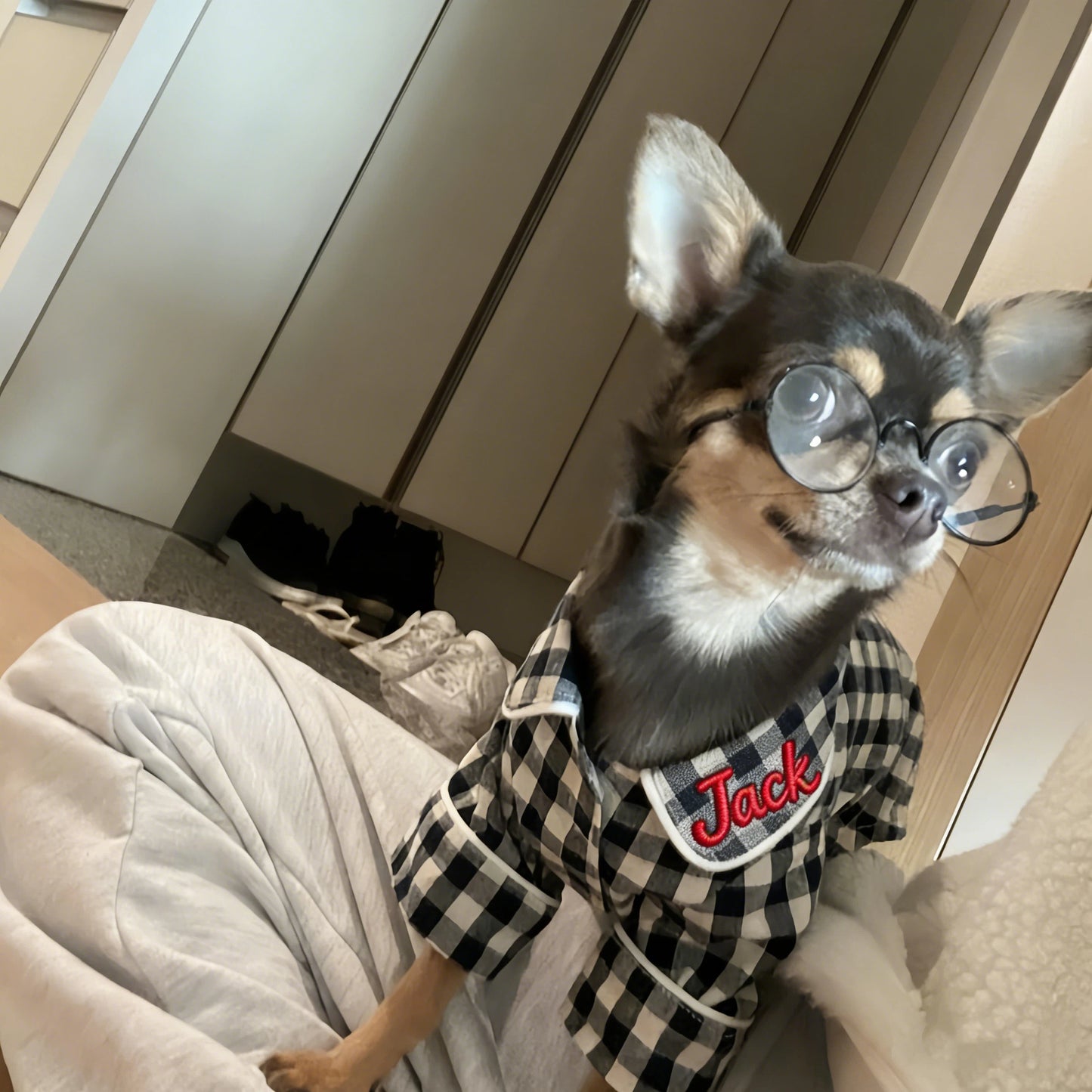 Personalized Embroidered Name Cotton-Linen Plaid Dog Pajamas | inCloth70