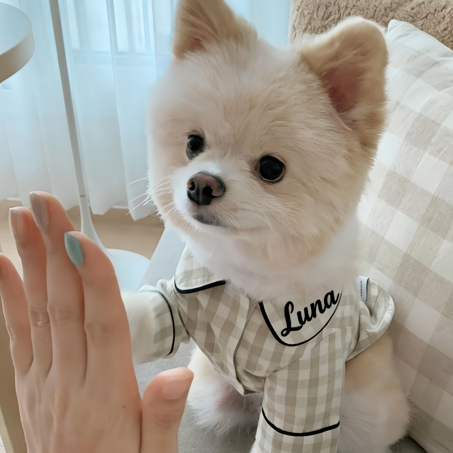Personalized Embroidered Name Cotton-Linen Plaid Dog Pajamas | inCloth70
