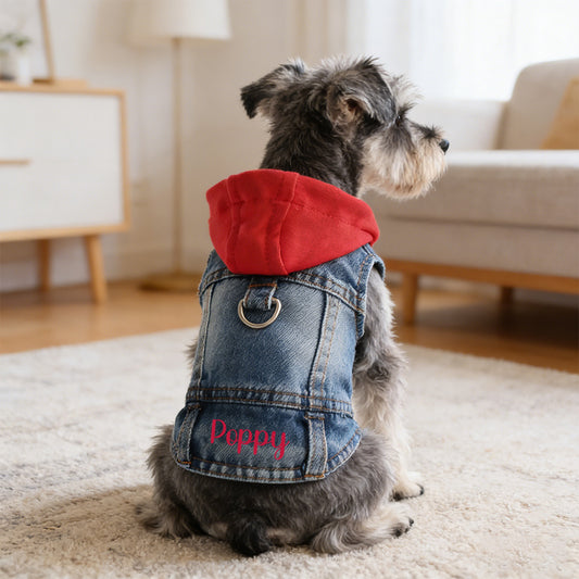 Personalized Name Denim Pet Hoodie Jacket | inCloth60