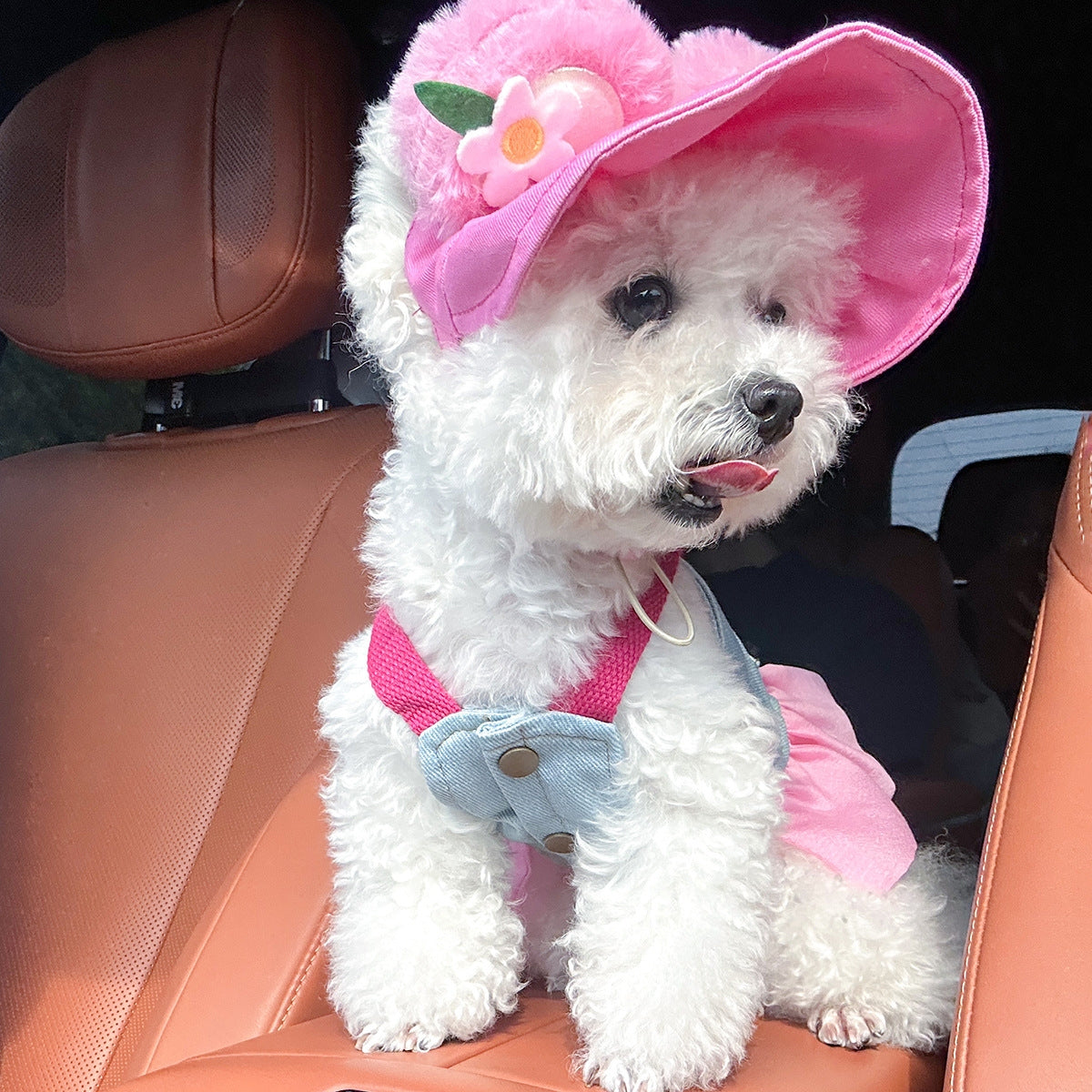 Personalized Name Pet Denim Dress & Hat Set | inCloth67