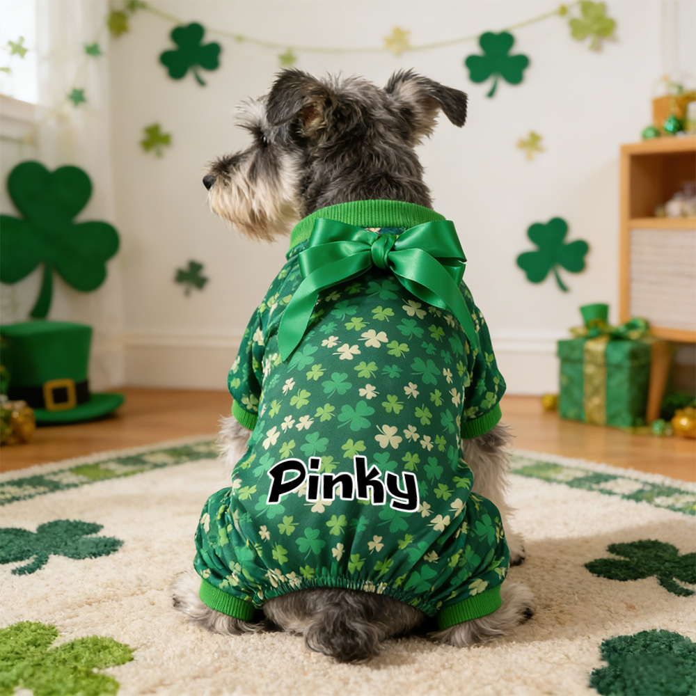 Personalized Pet Lucky St. Patrick's Day Jumpsuit | inCloth07