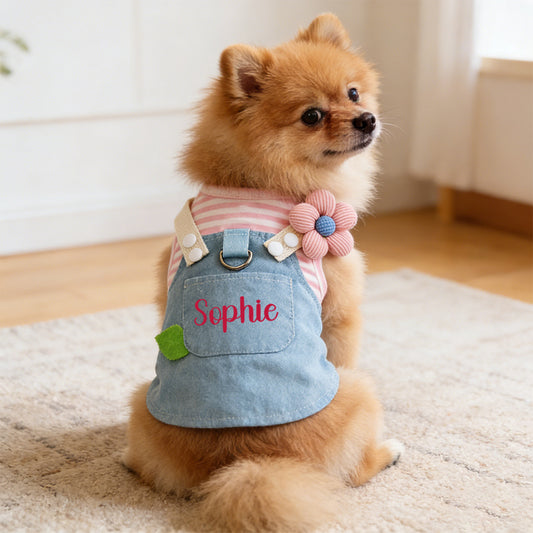 Personalized Name Pet Denim Overalls Dress  | inCloth49