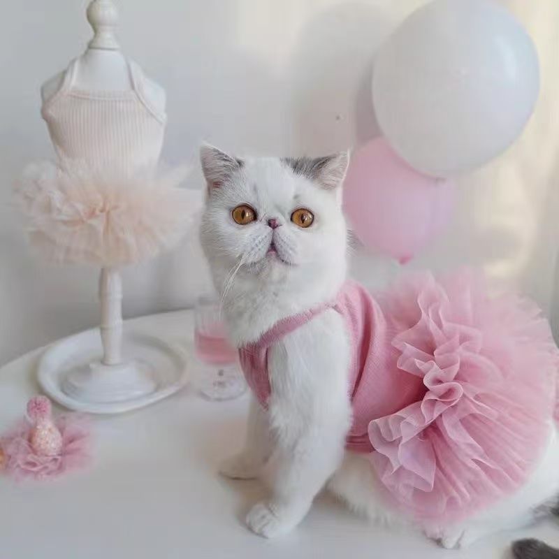 Personalized Name Pet Fluffy Tutu Dress | inCloth40