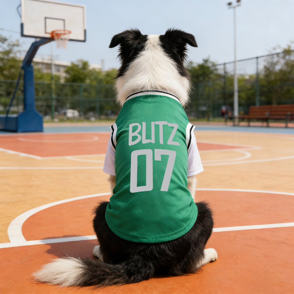 Personalized Breathable Pet Shirt with Name & Number | inCloth62