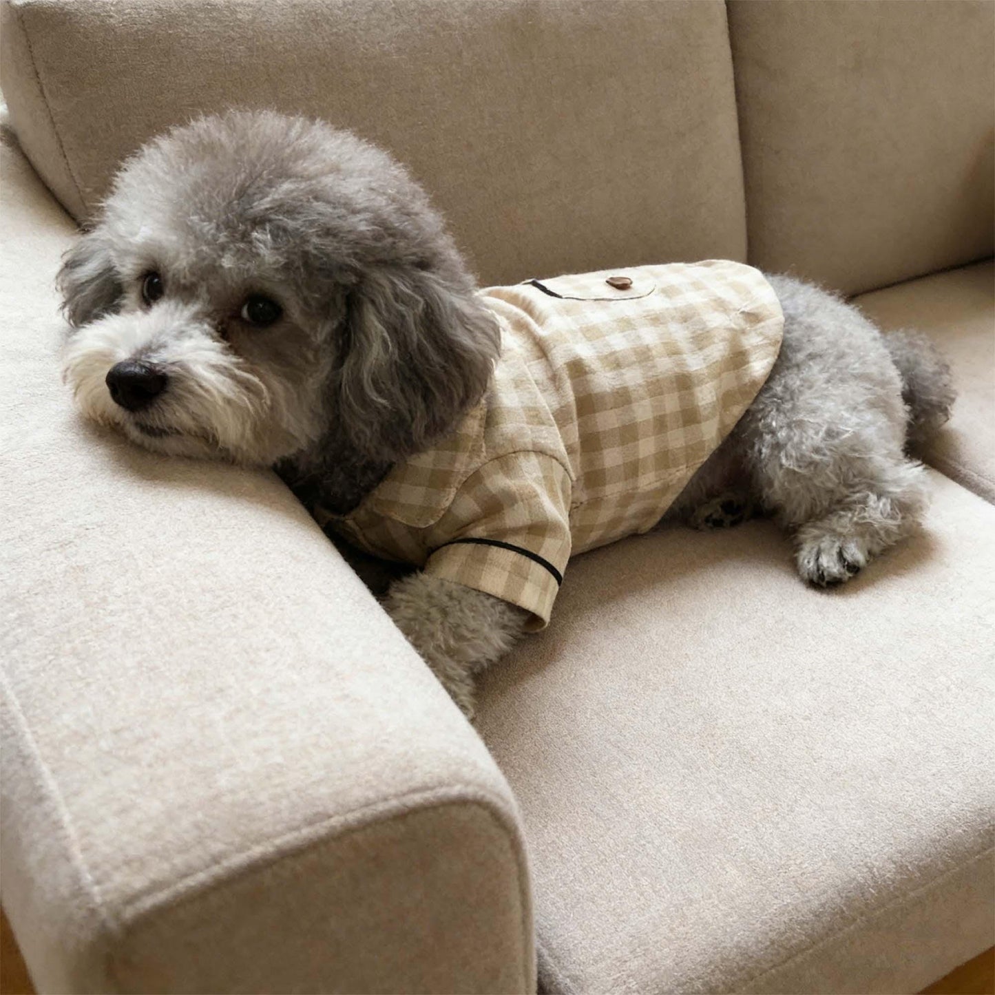 Personalized Embroidered Name Cotton-Linen Plaid Dog Pajamas | inCloth70