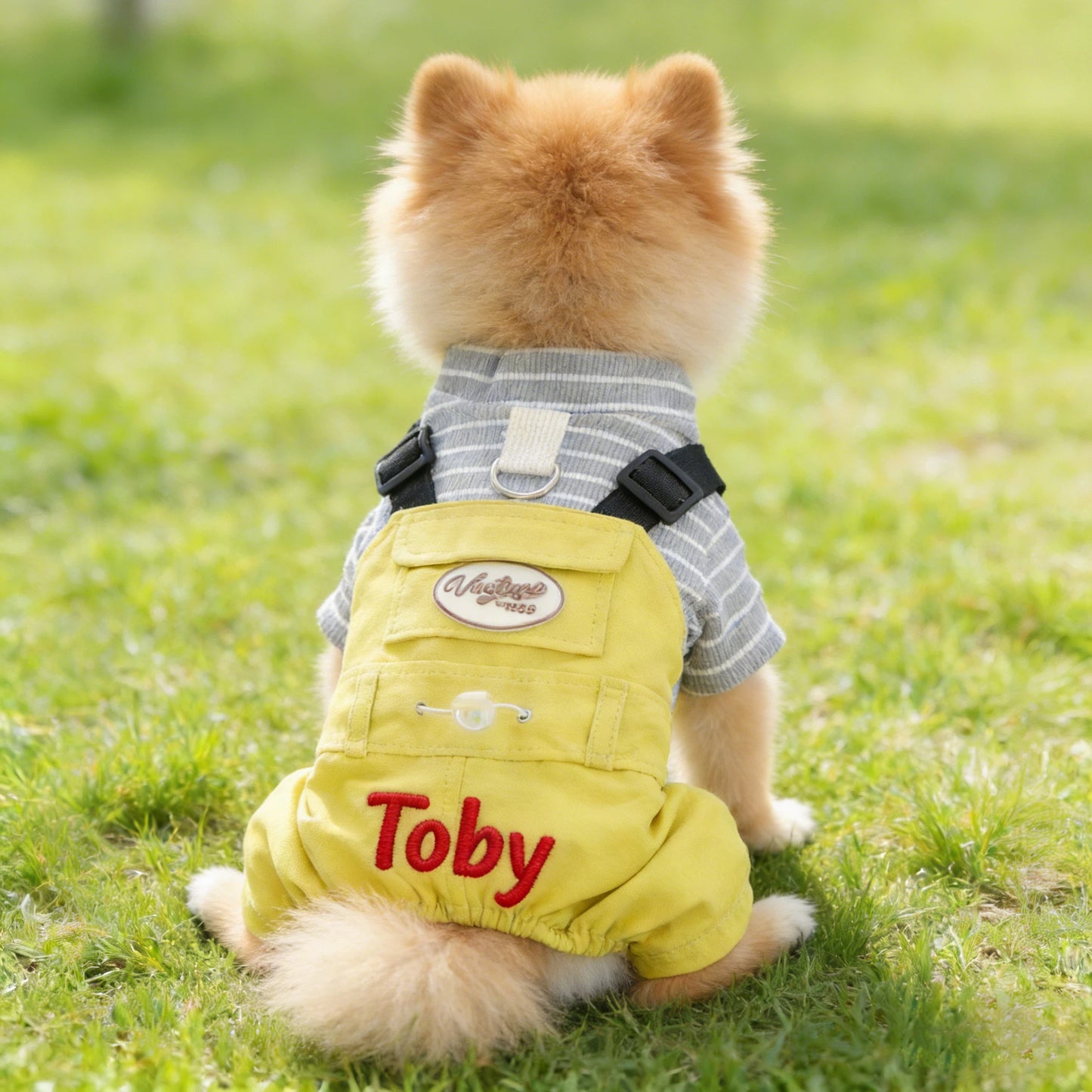 Combinaison personnalisée brodée au nom de l'animal | inCloth21