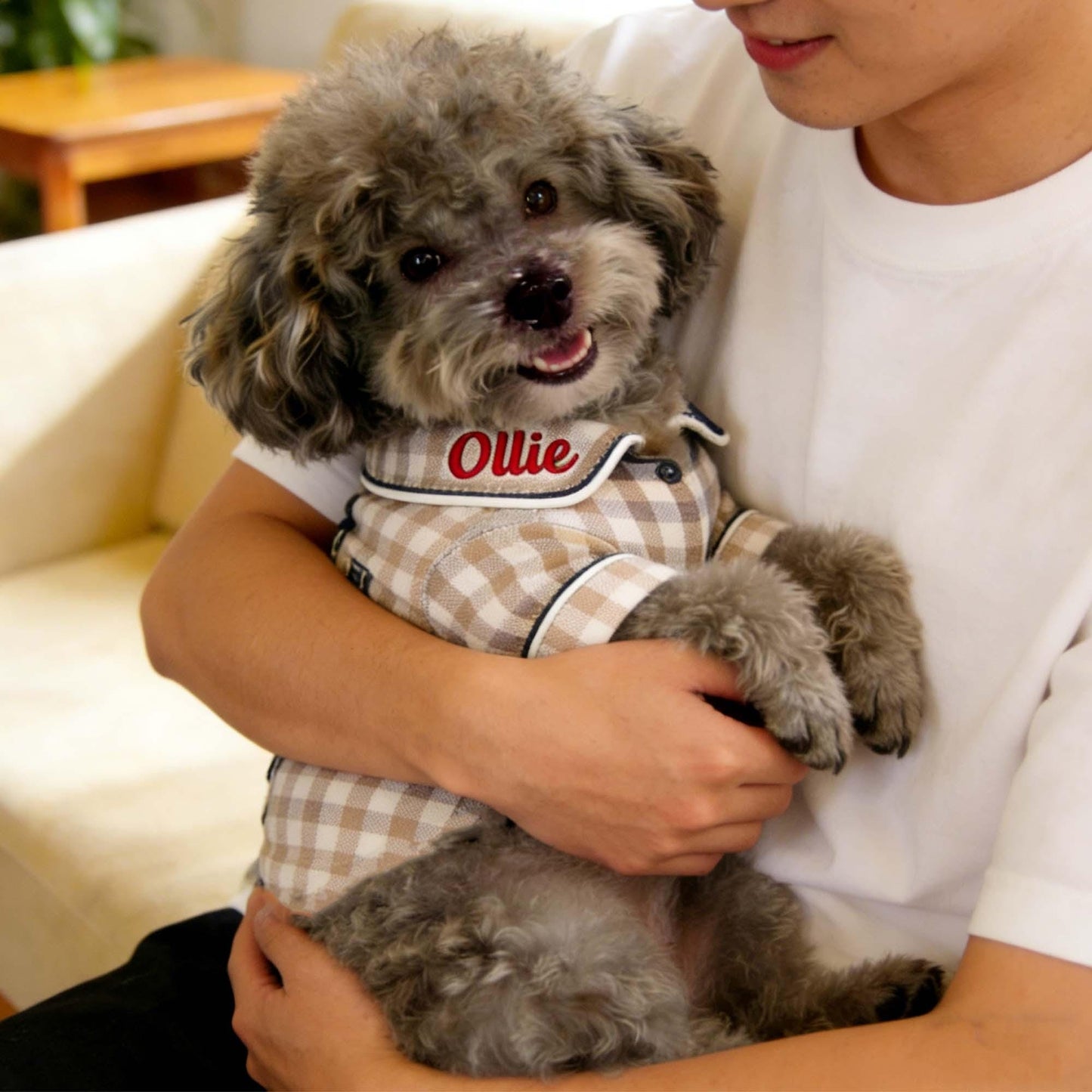 Personalized Embroidered Name Cotton-Linen Plaid Dog Pajamas | inCloth70