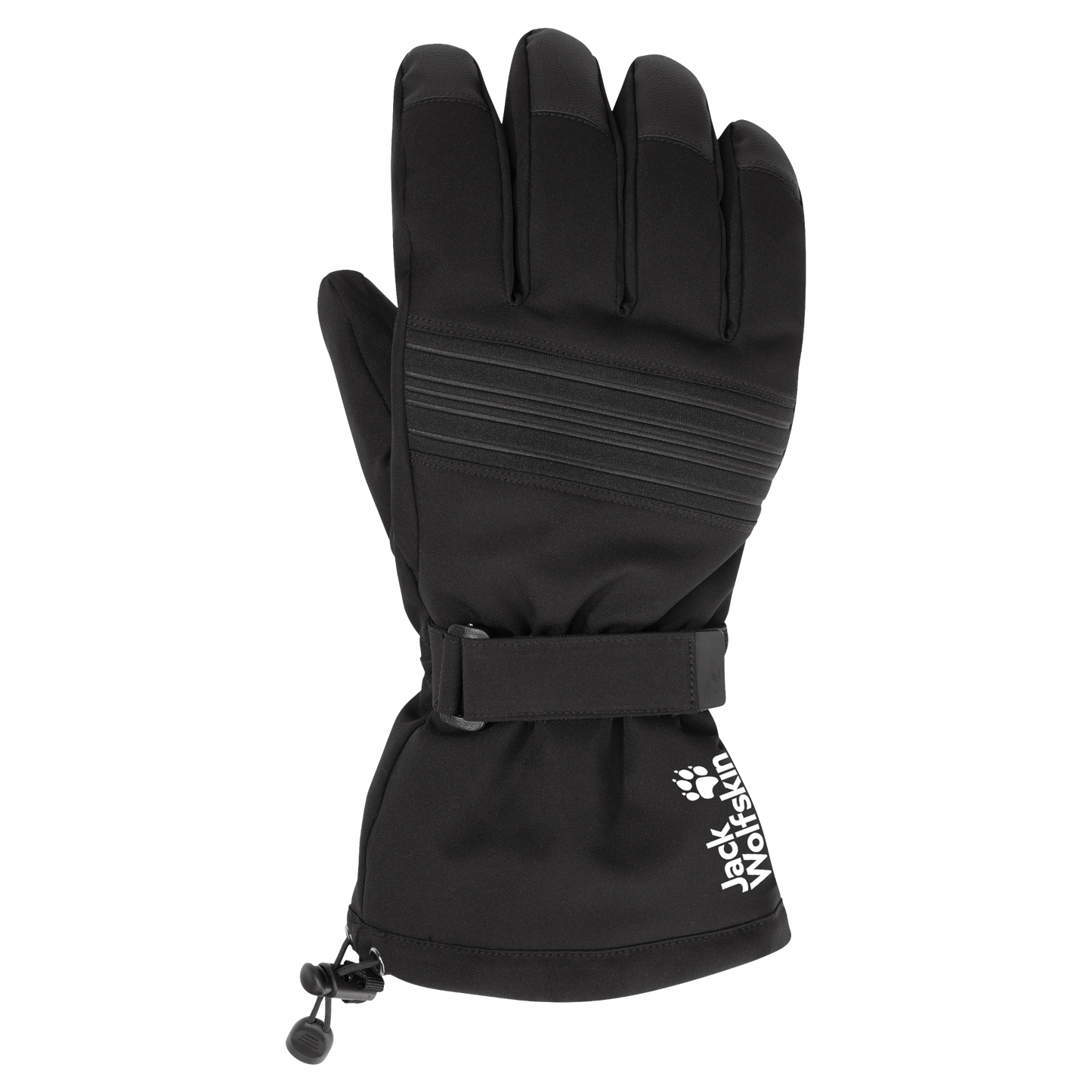INS SKI GLOVE