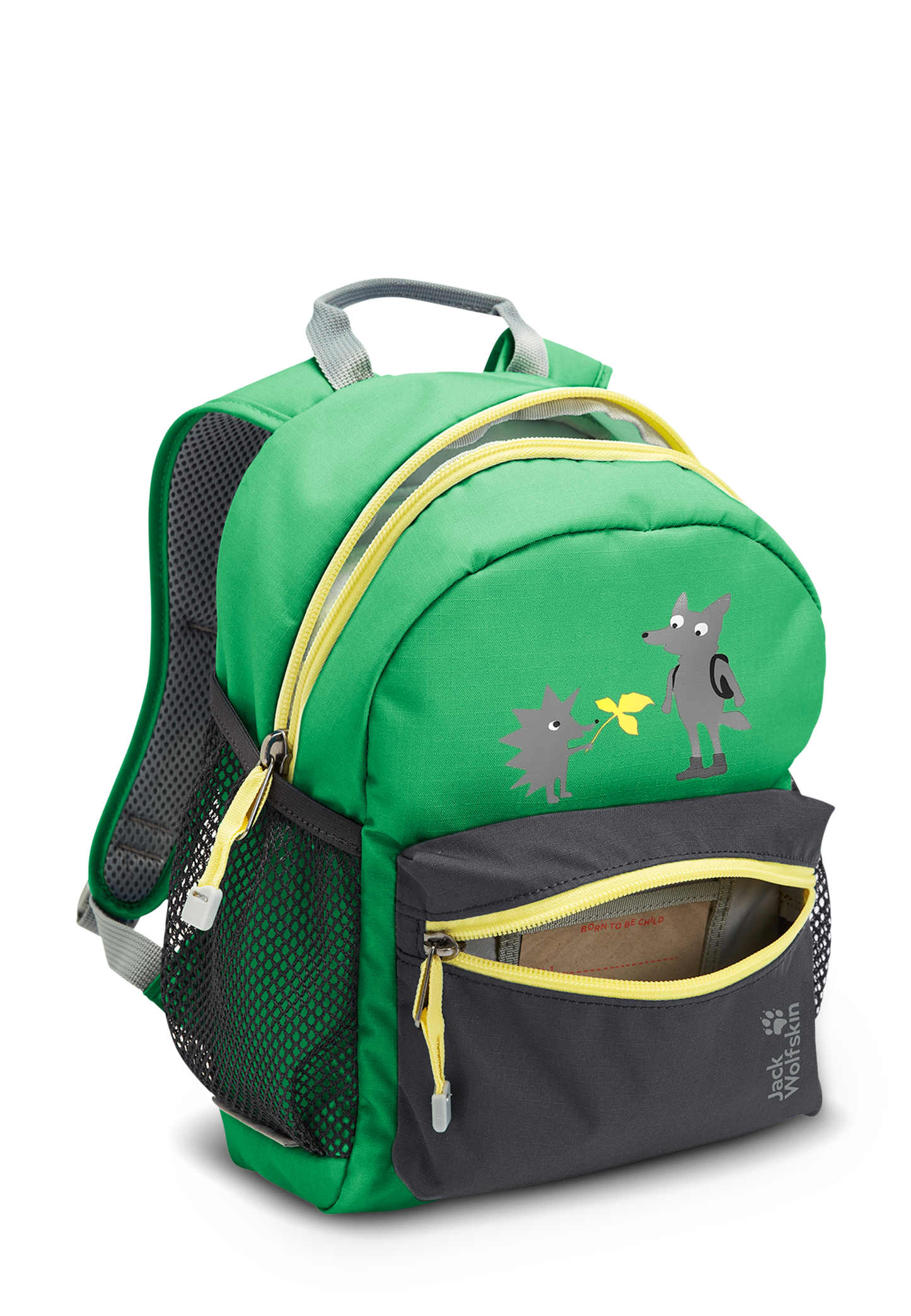 LITTLE SCOUT 10