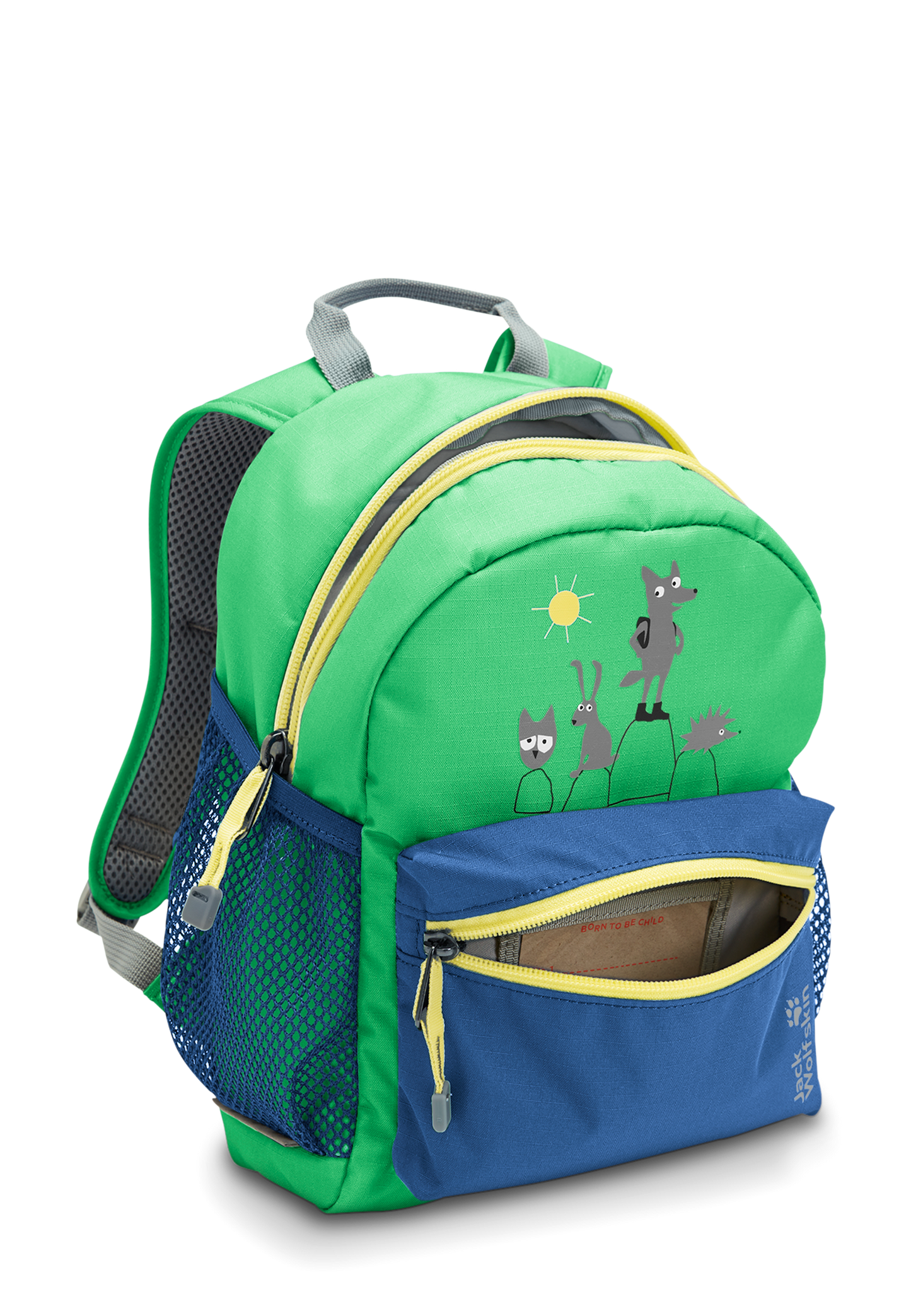 LITTLE SCOUT 10