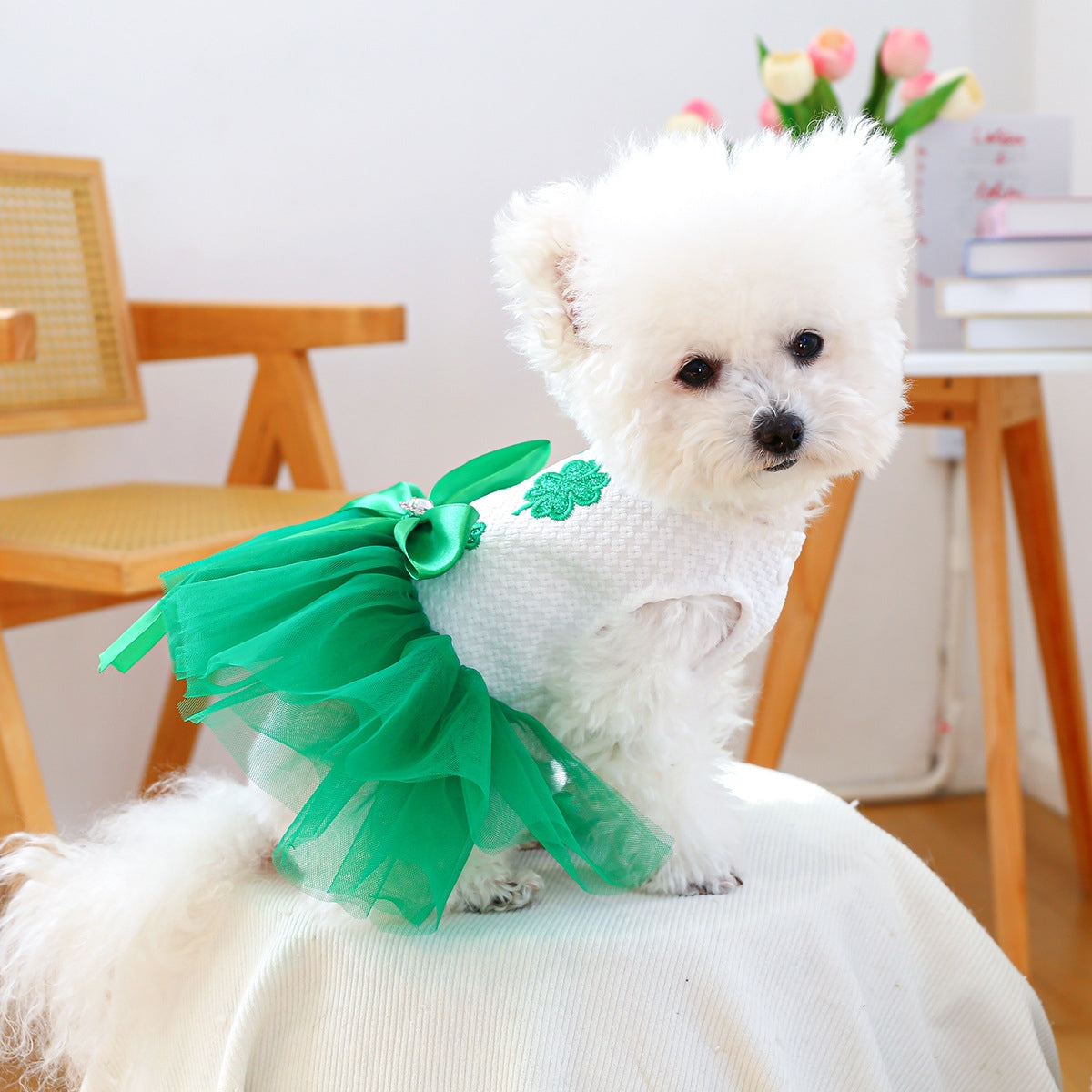 Robe personnalisée Patricks Day porte-bonheur pour animaux de compagnie | inCloth11