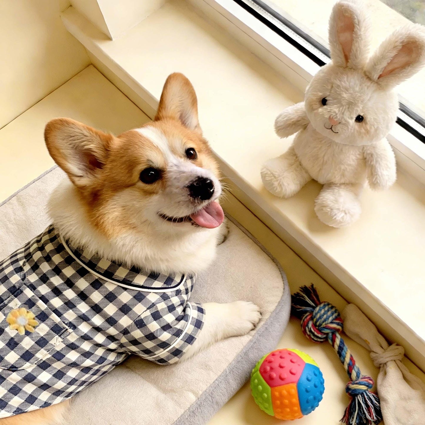 Personalized Embroidered Name Cotton-Linen Plaid Dog Pajamas | inCloth70