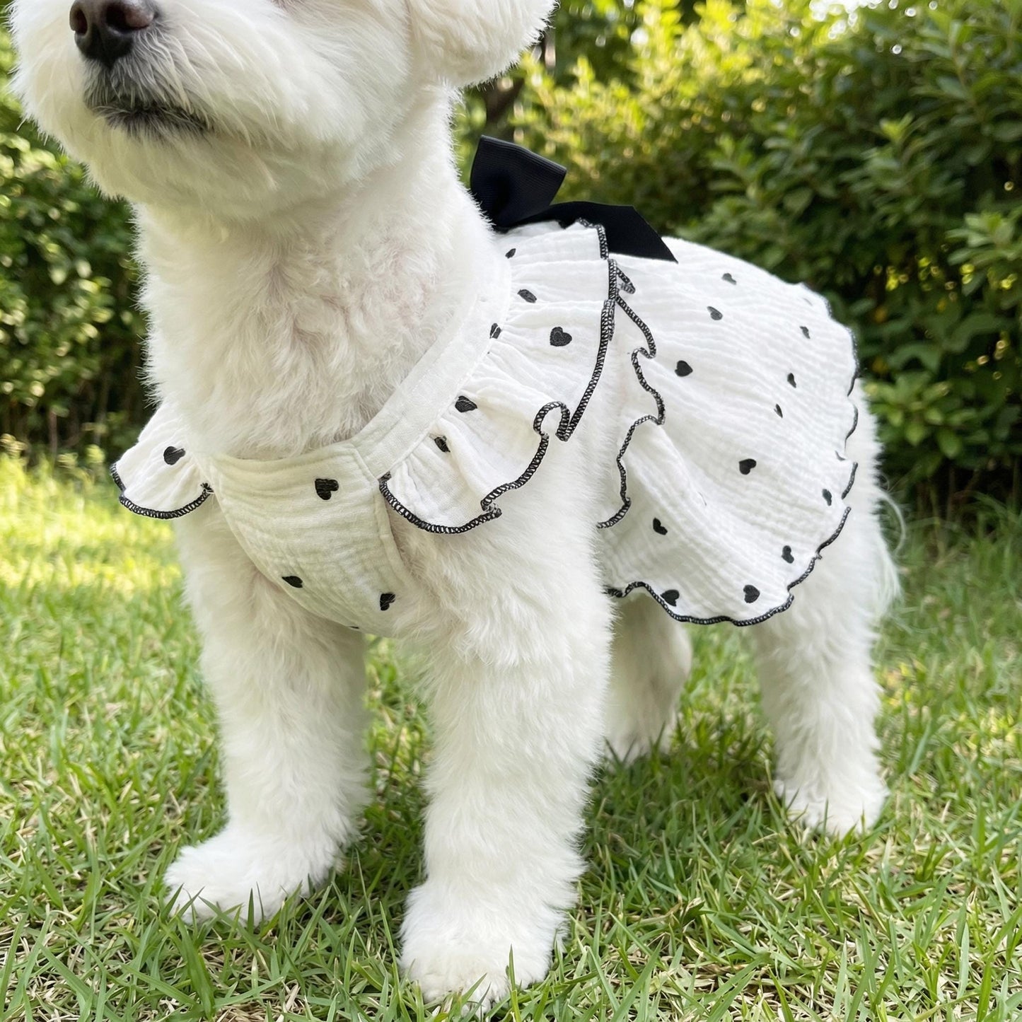 Personalized Pet Floral Bowknot Dress | inCloth38