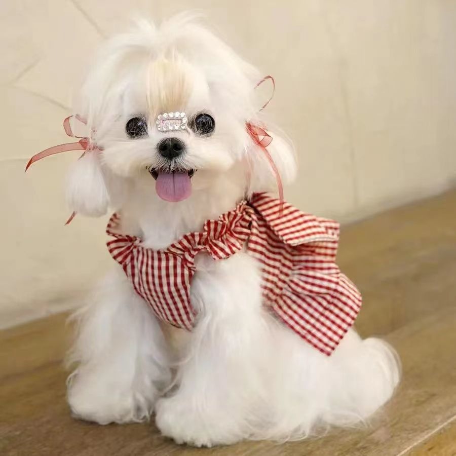 Personalized Pet Valentine's Day Dress | inCloth02